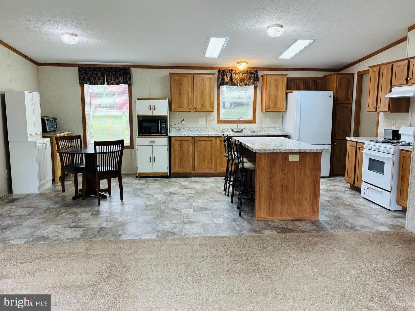 107 E Park Avenue, Snow Shoe