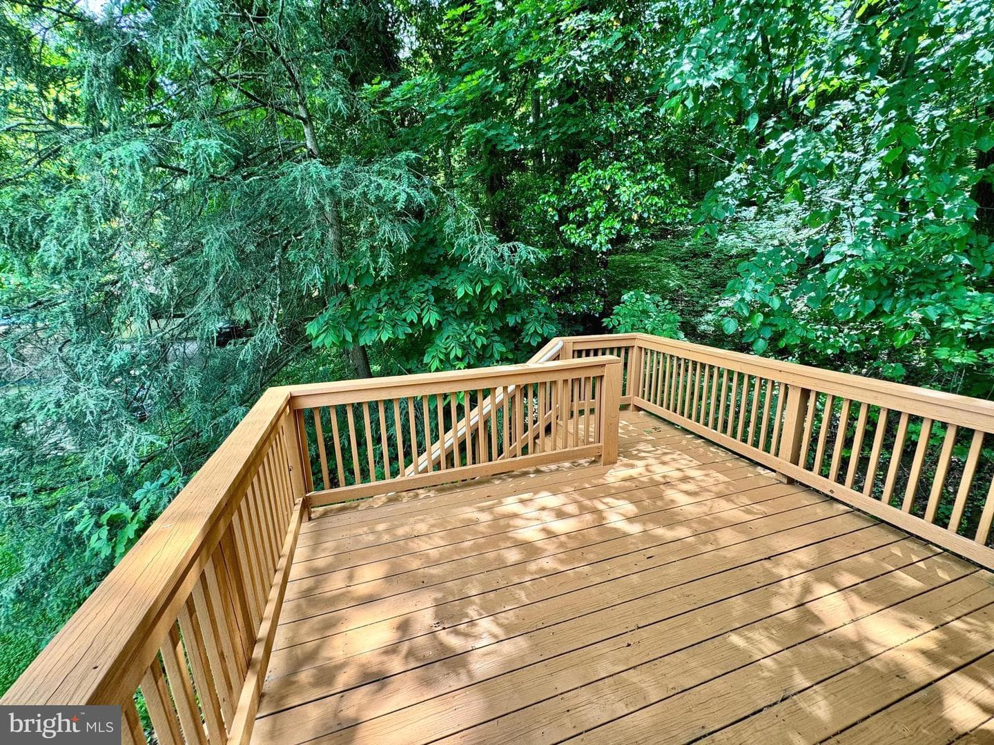159 Lower Grandview Road photo 32