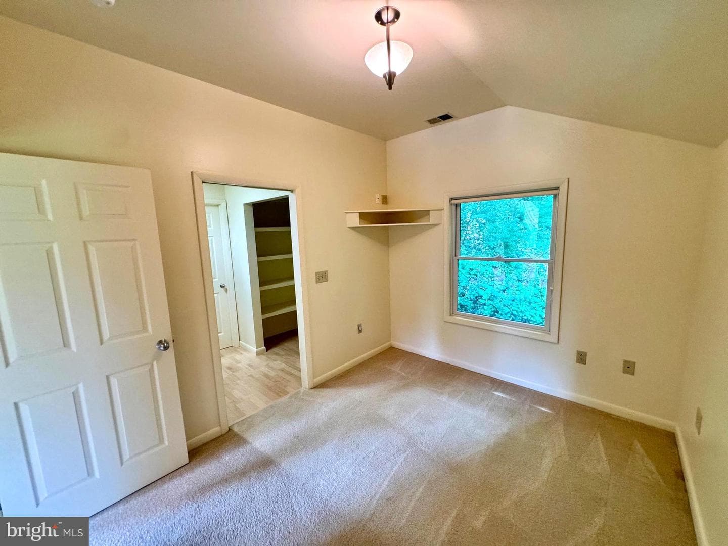 159 Lower Grandview Road photo 49