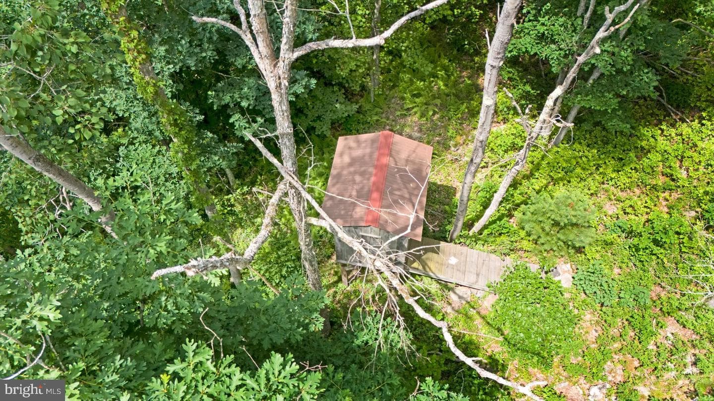 214 Little Wolf Rd photo 42