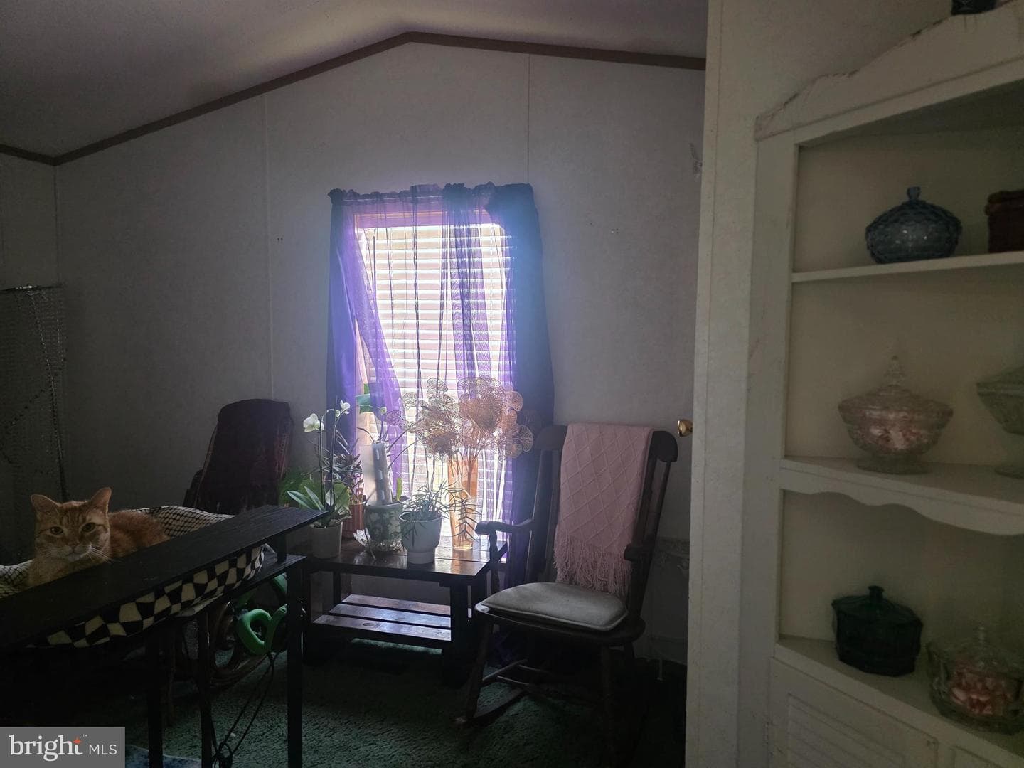 134 Primrose Lane photo 7