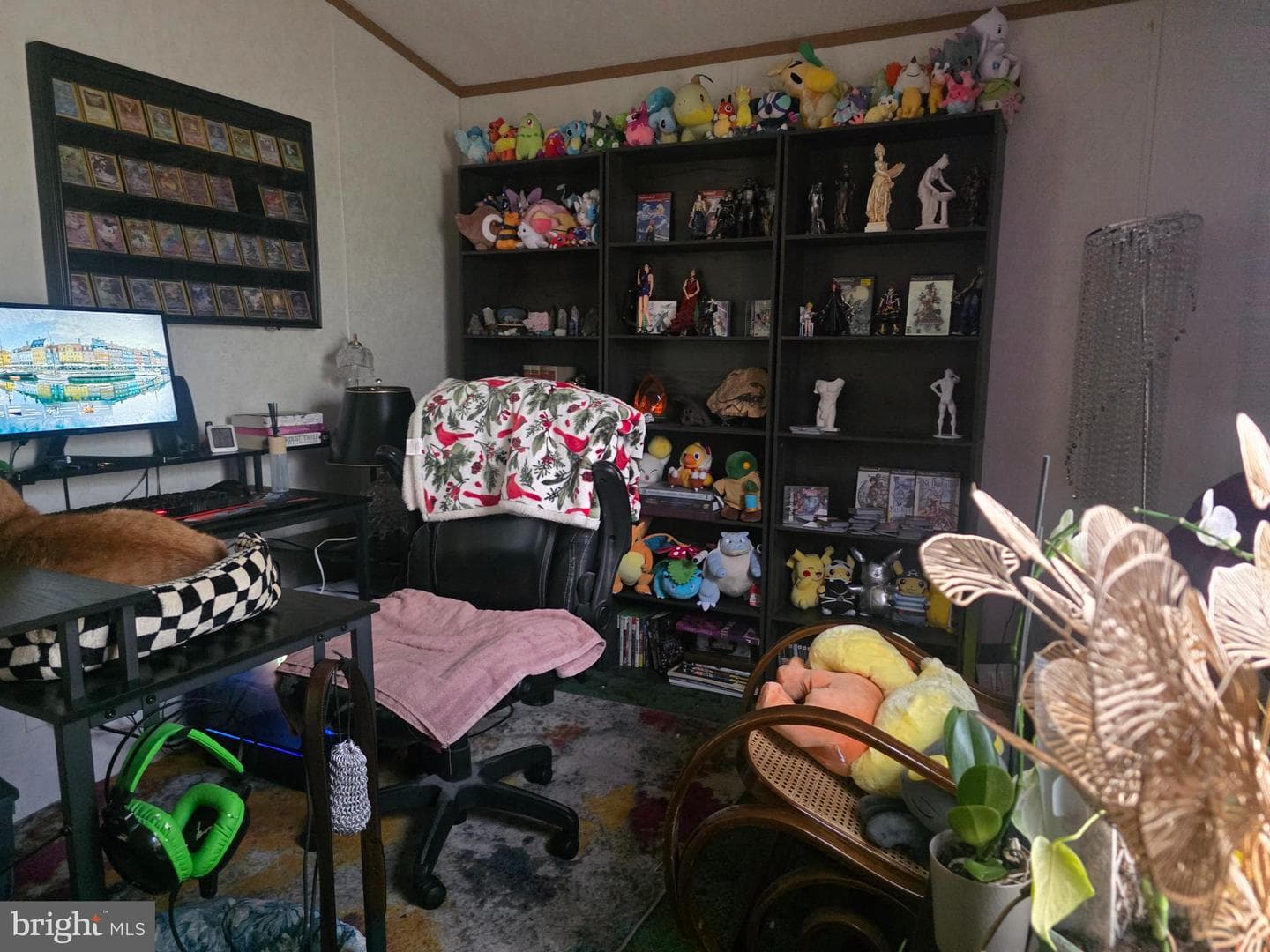 134 Primrose Lane photo 8