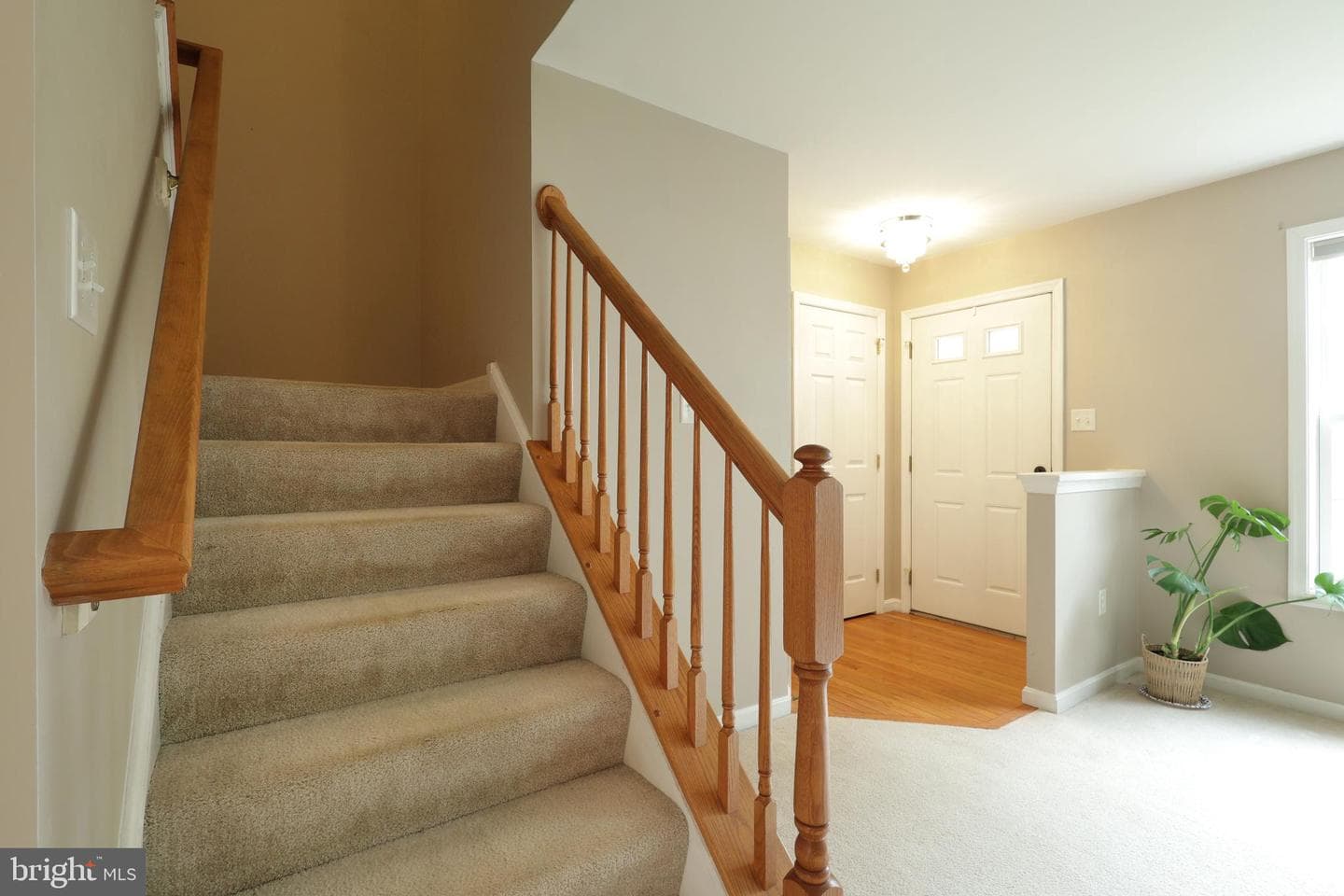 2397 Quail Run Road photo 22