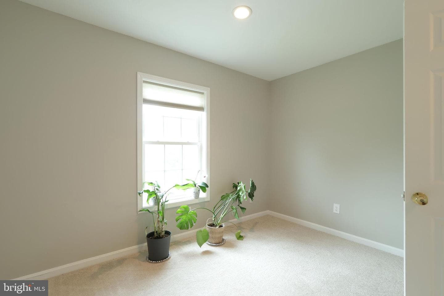 2397 Quail Run Road photo 36