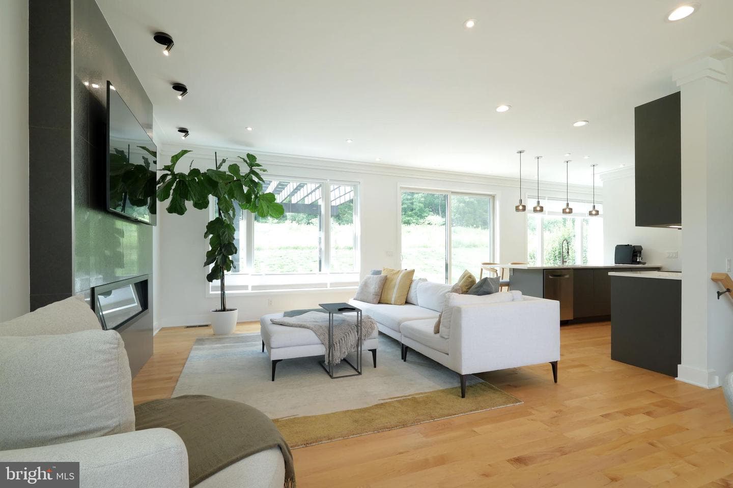 233 Derek Drive photo 14