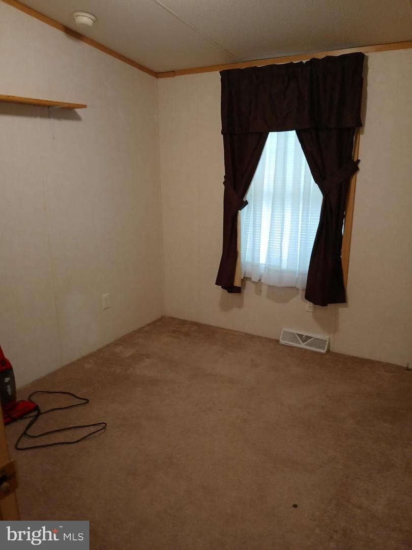 172 Primrose Lane photo 13