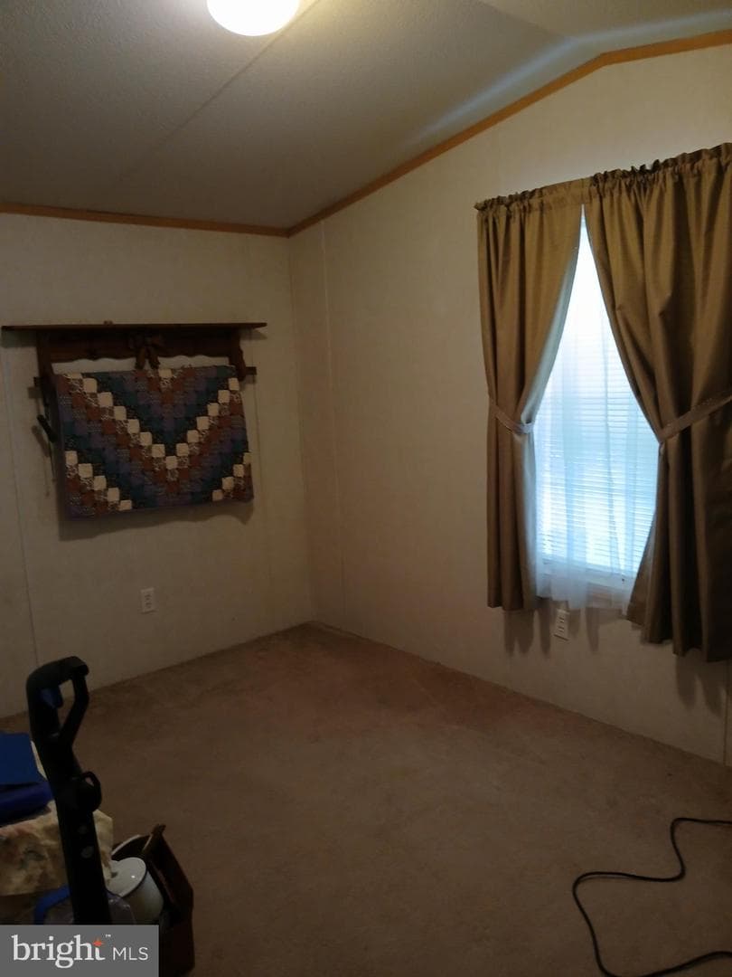 172 Primrose Lane photo 16