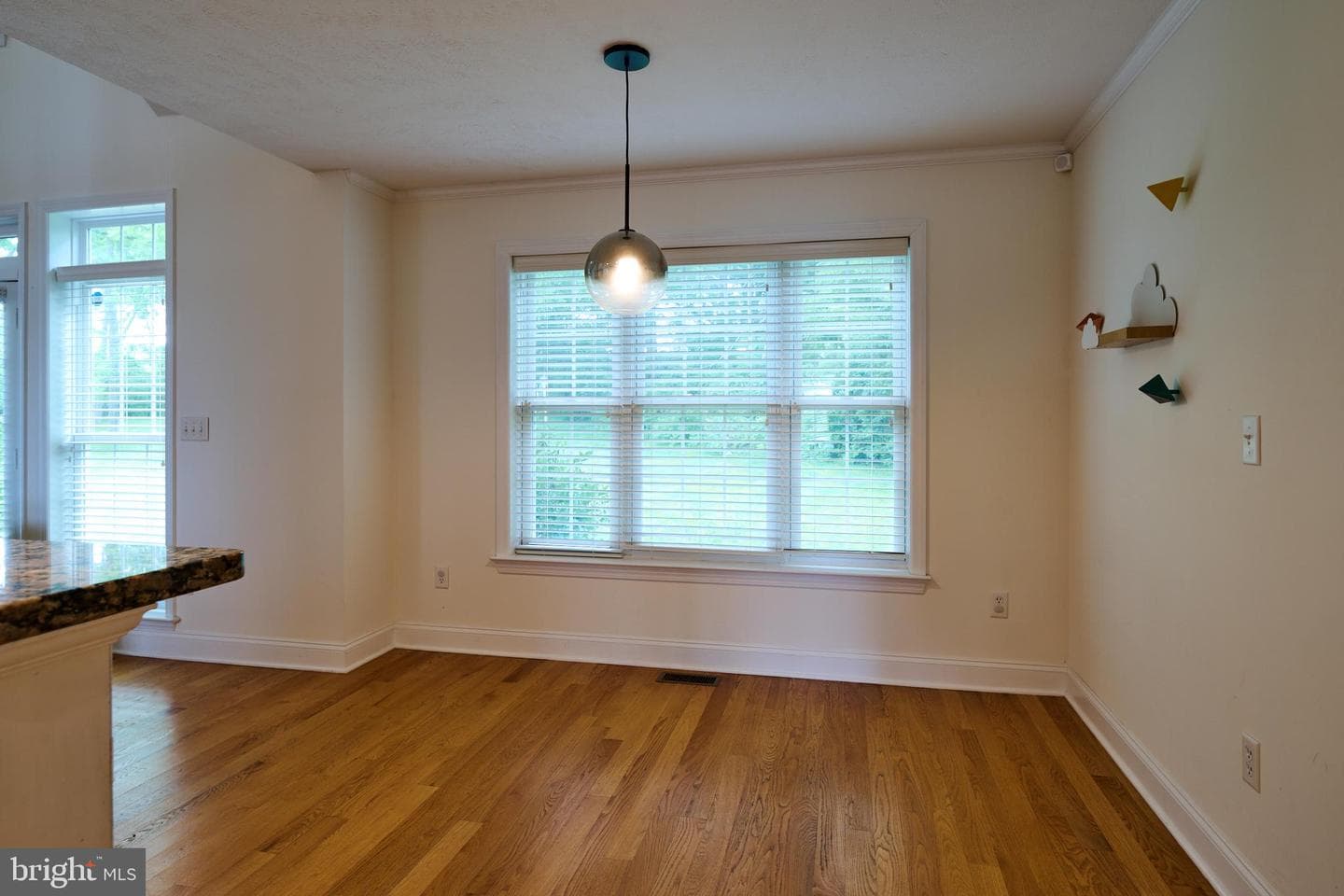 248 Ivy Hill Drive photo 17