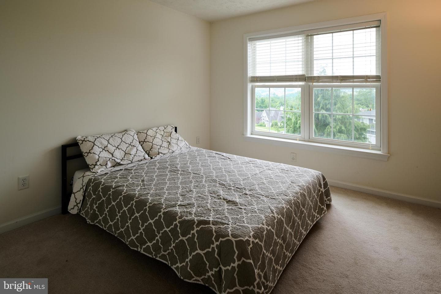 248 Ivy Hill Drive photo 46
