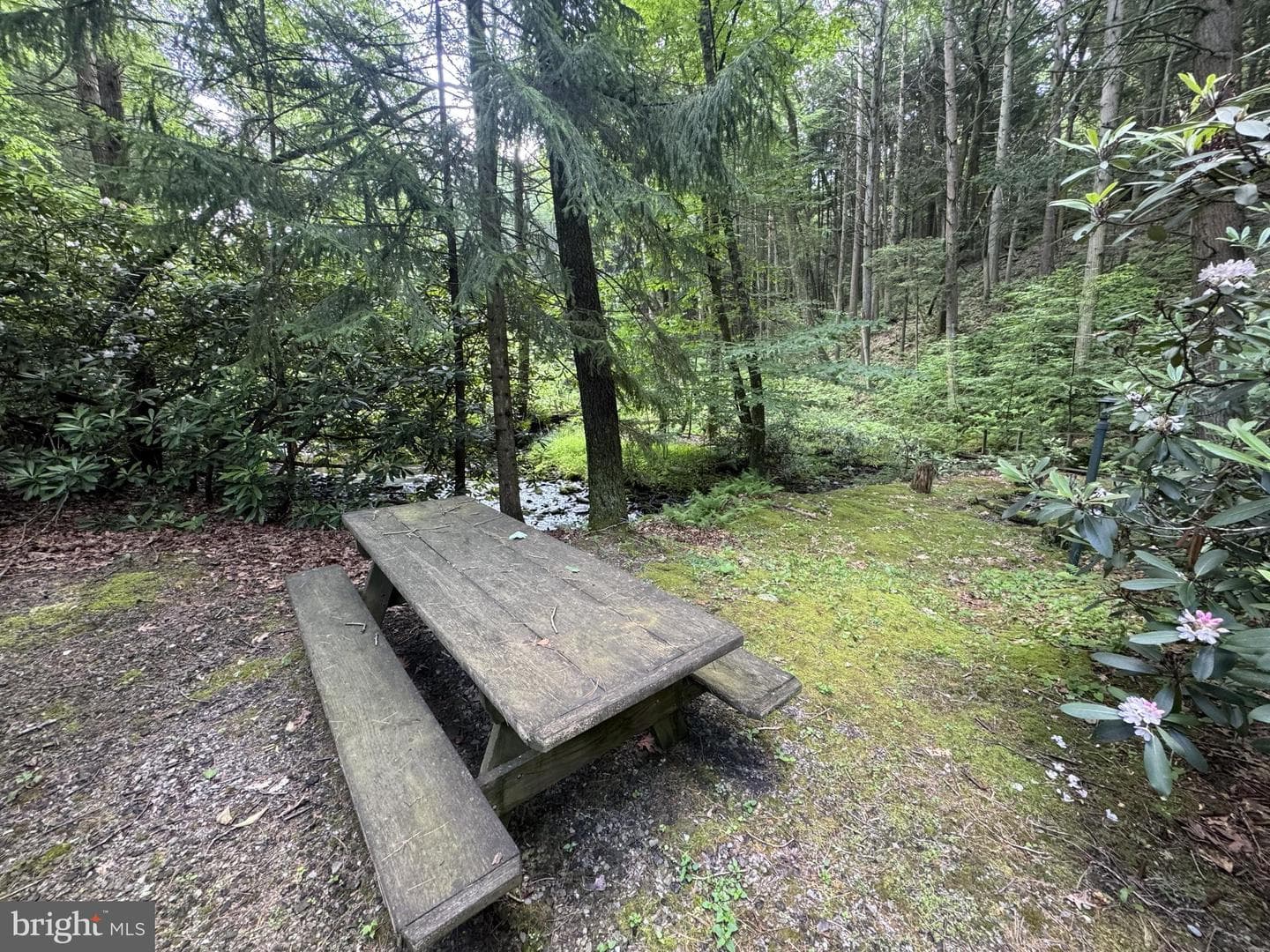 1006 Bear Meadows Road photo 21