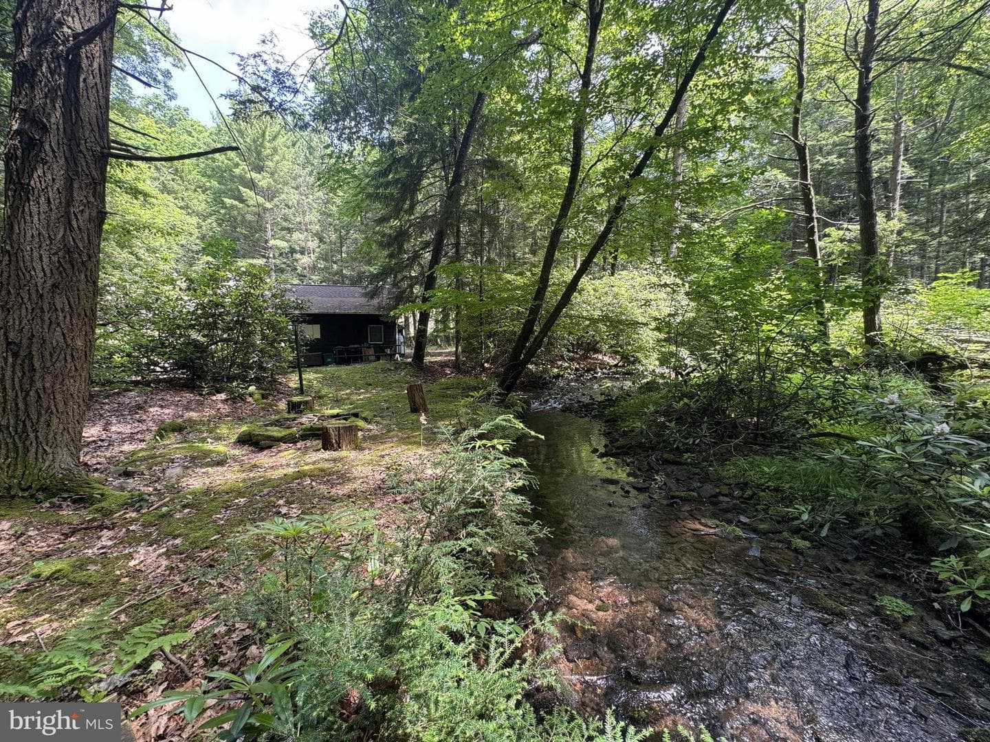 1006 Bear Meadows Road photo 3