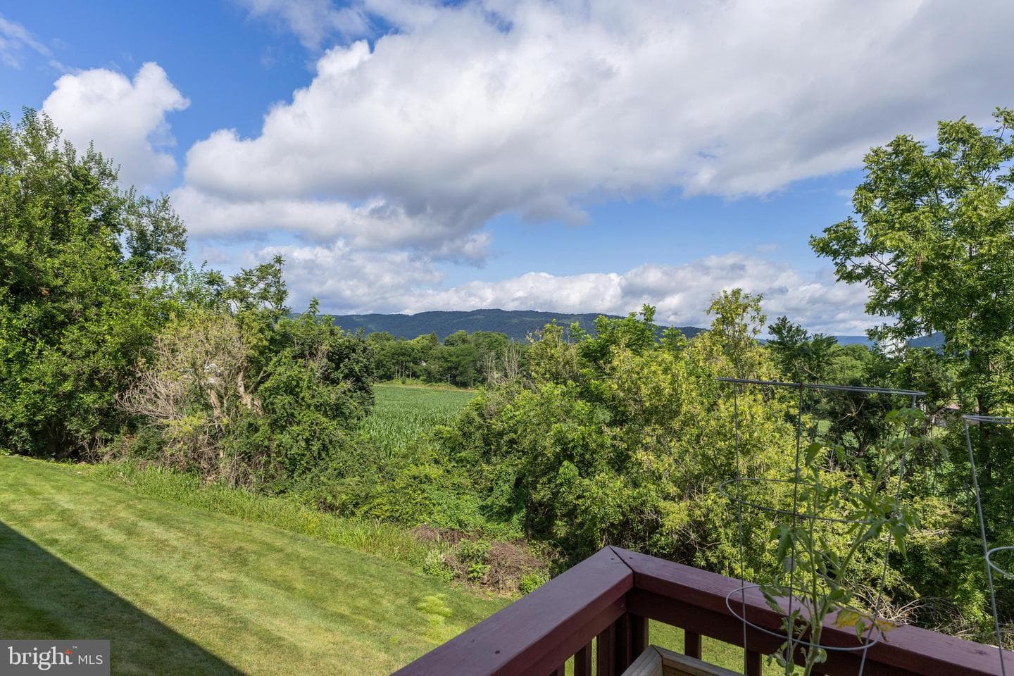 142 Faust Circle photo 18