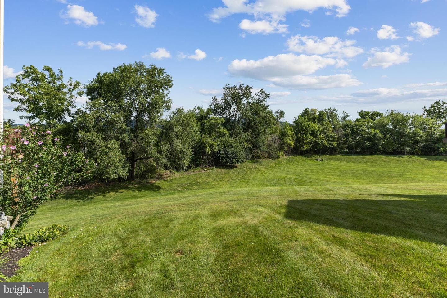 142 Faust Circle photo 42