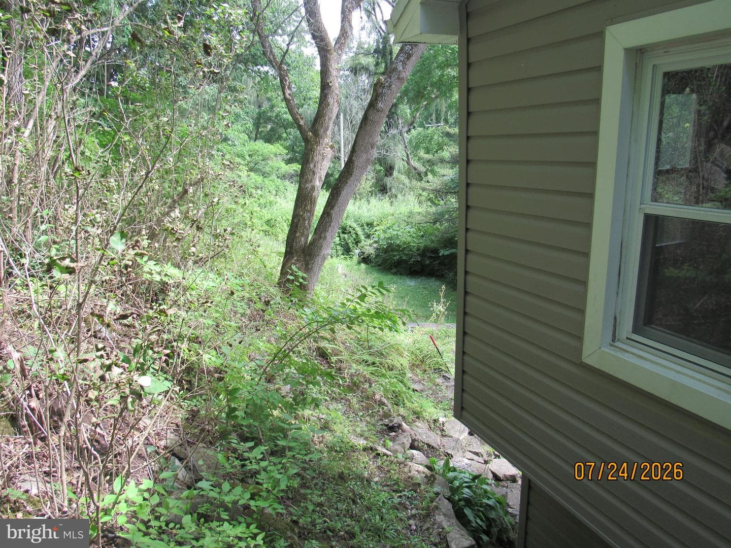 1127 Axemann Rd photo 23
