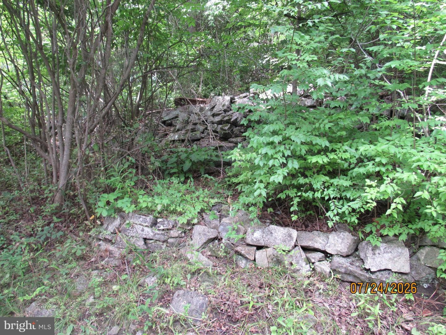 1127 Axemann Rd photo 25