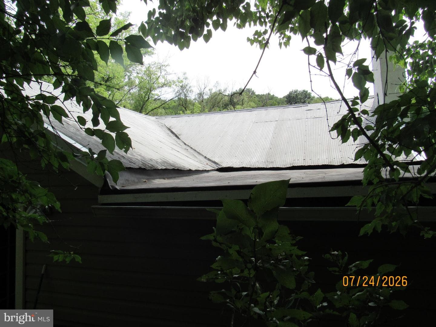 1127 Axemann Rd photo 27
