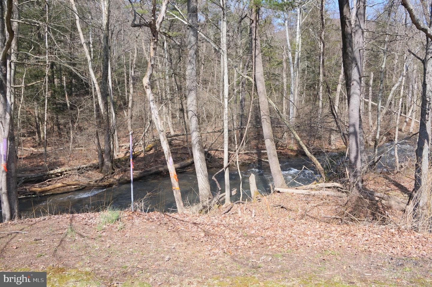 37 Ruby Lane photo 2