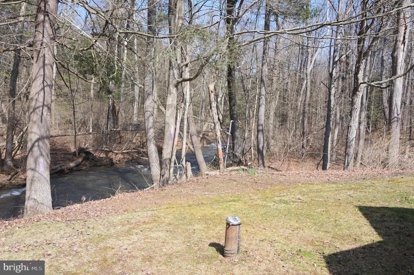 37 Ruby Lane photo 22