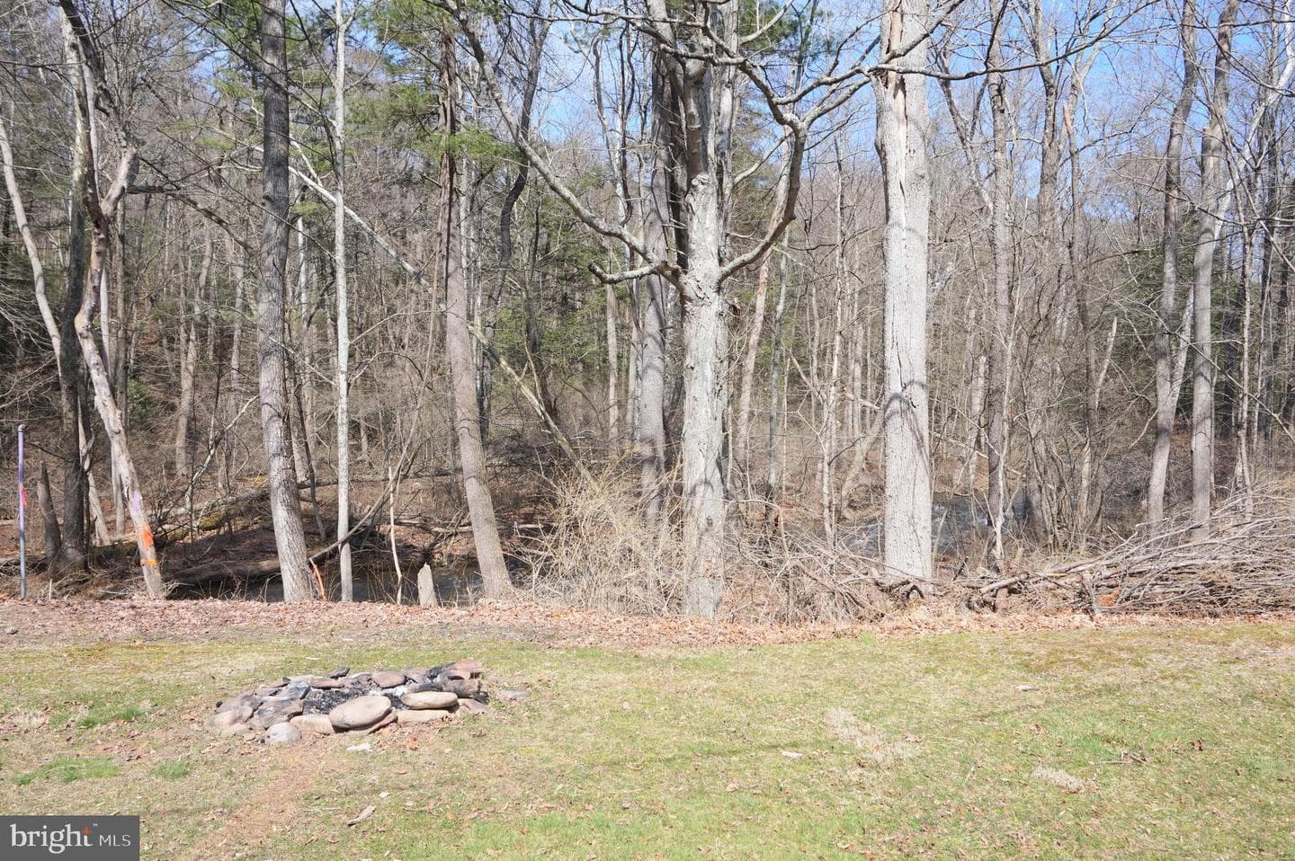 37 Ruby Lane photo 23