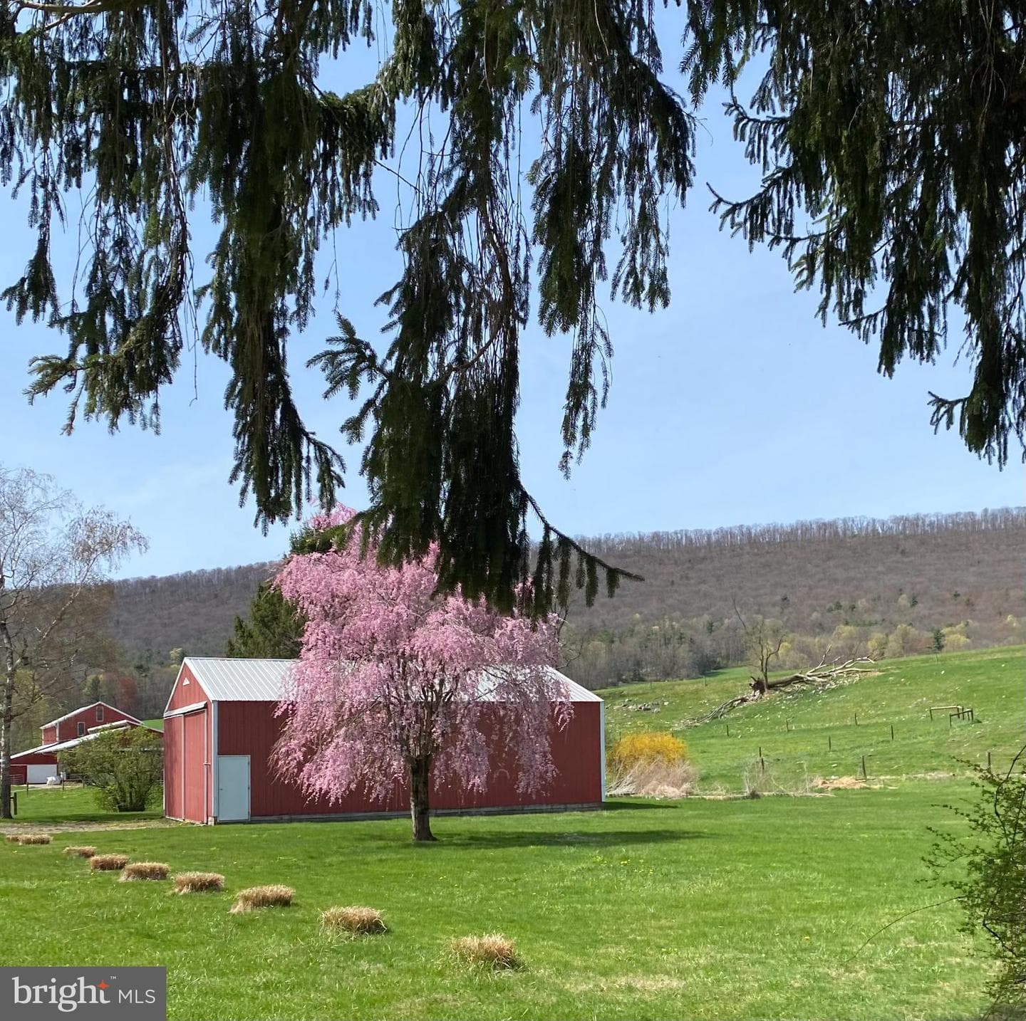 1329 Summer Mountain Road photo 21