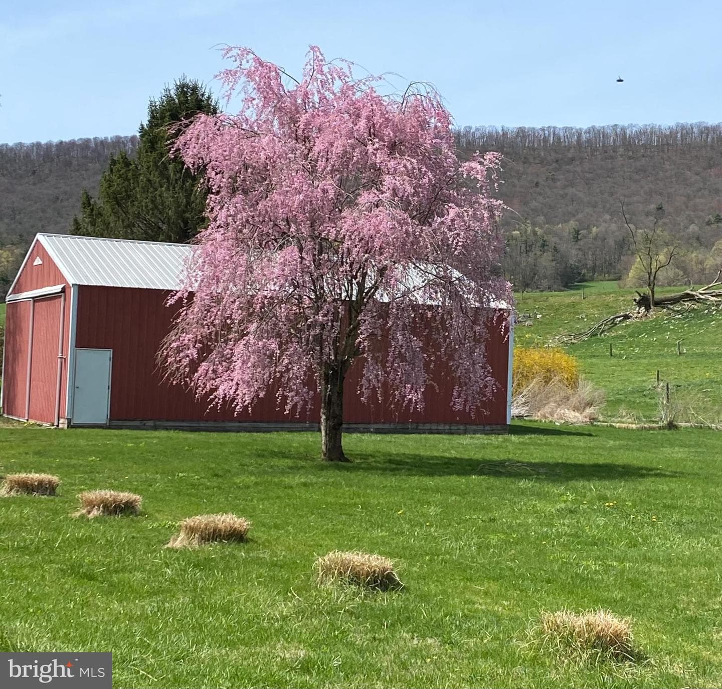 1329 Summer Mountain Road photo 22