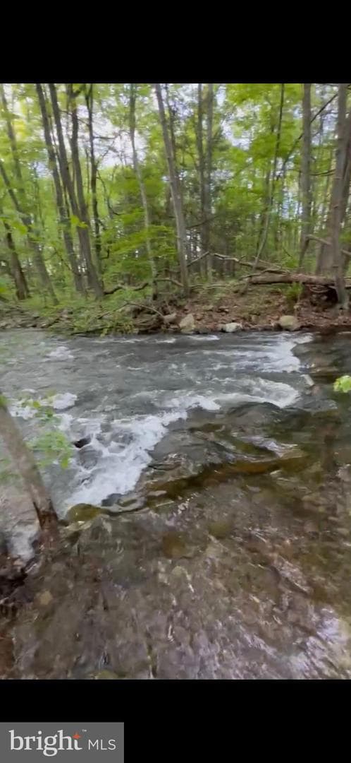 75 Pocahontas Trail photo 48