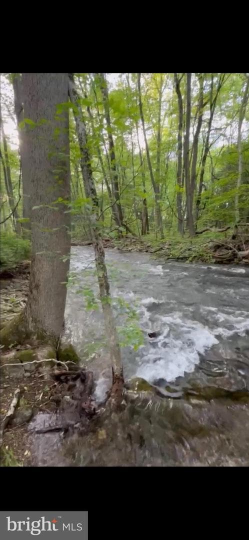 75 Pocahontas Trail photo 49