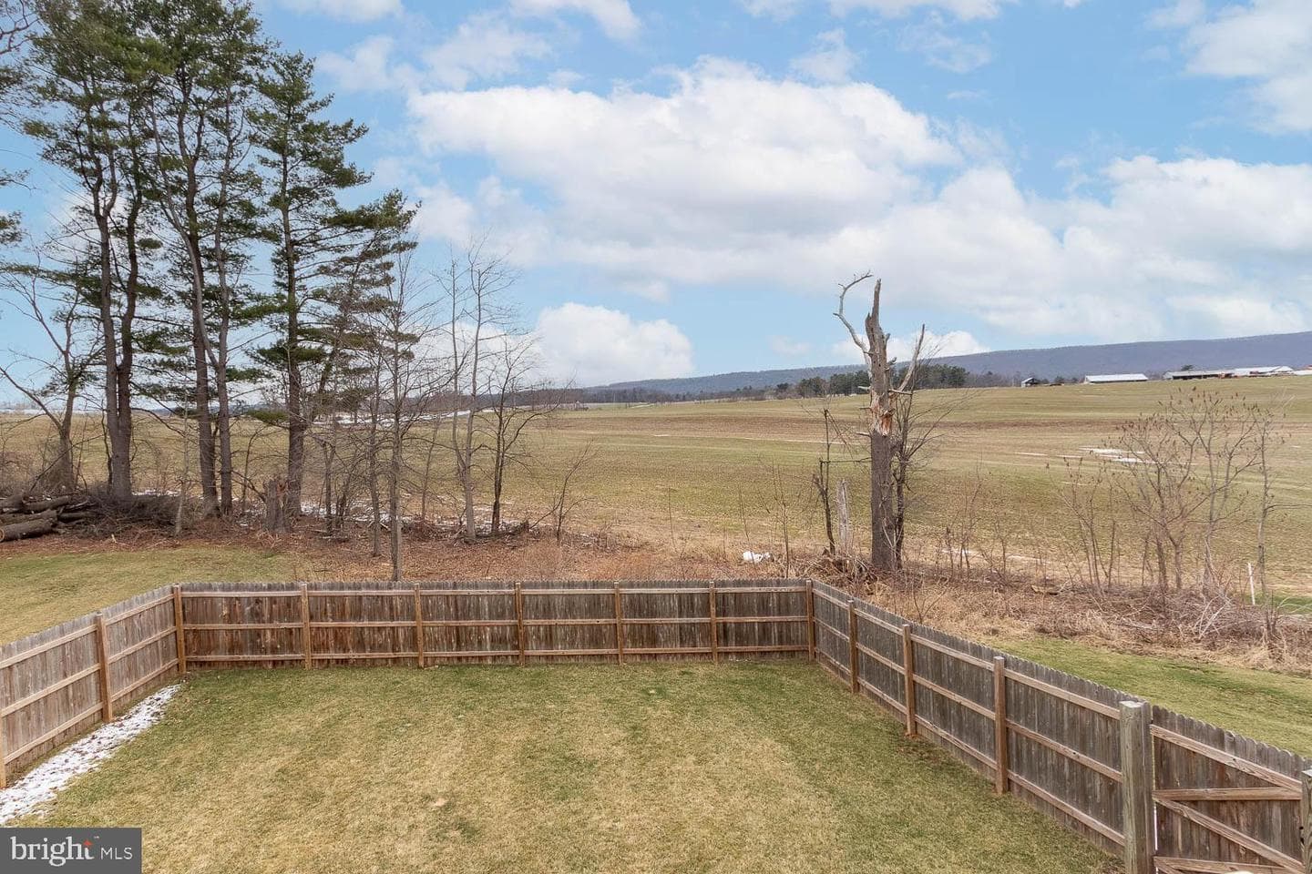 204 Whitetail Circle photo 31
