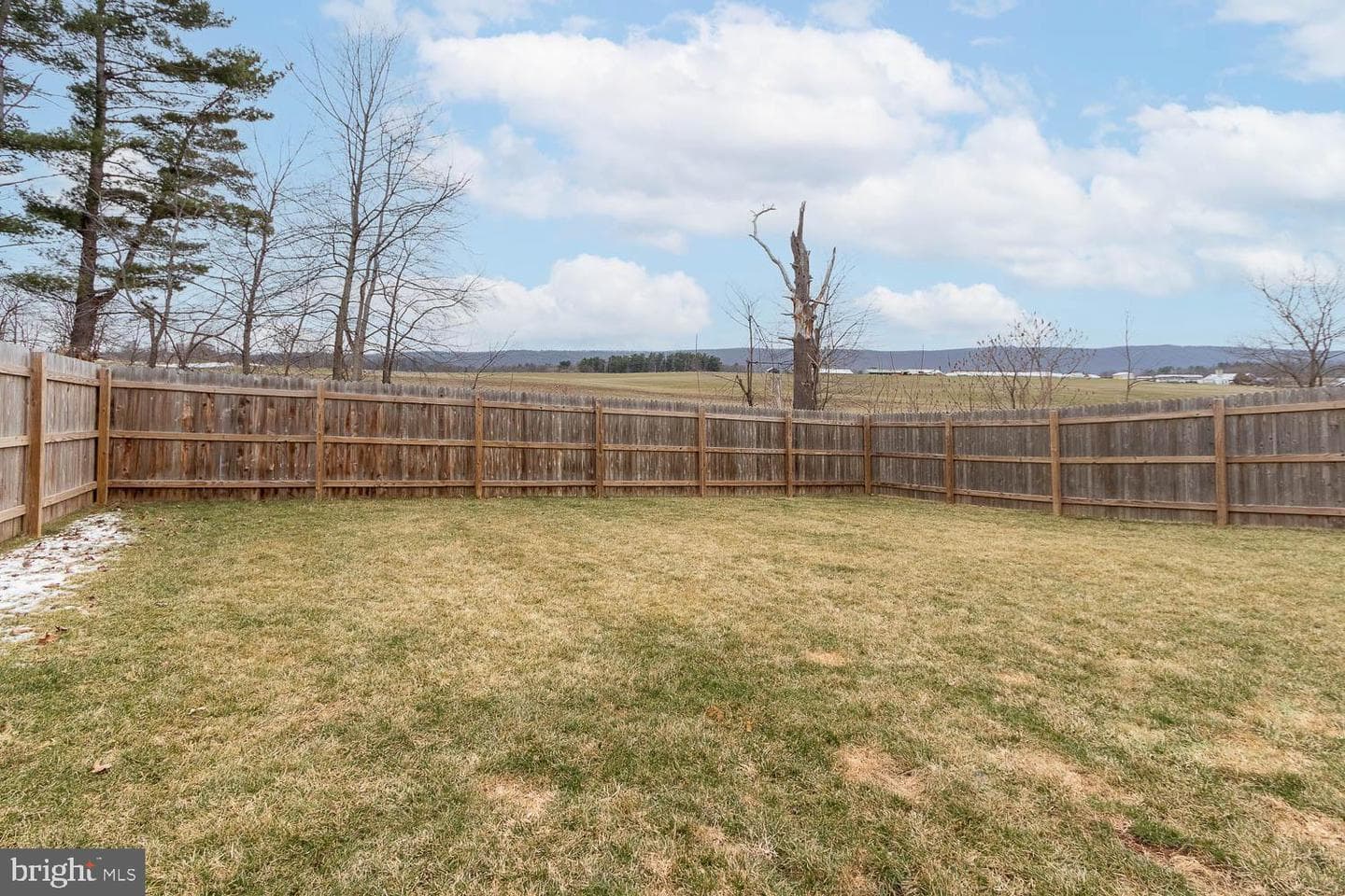 204 Whitetail Circle photo 32