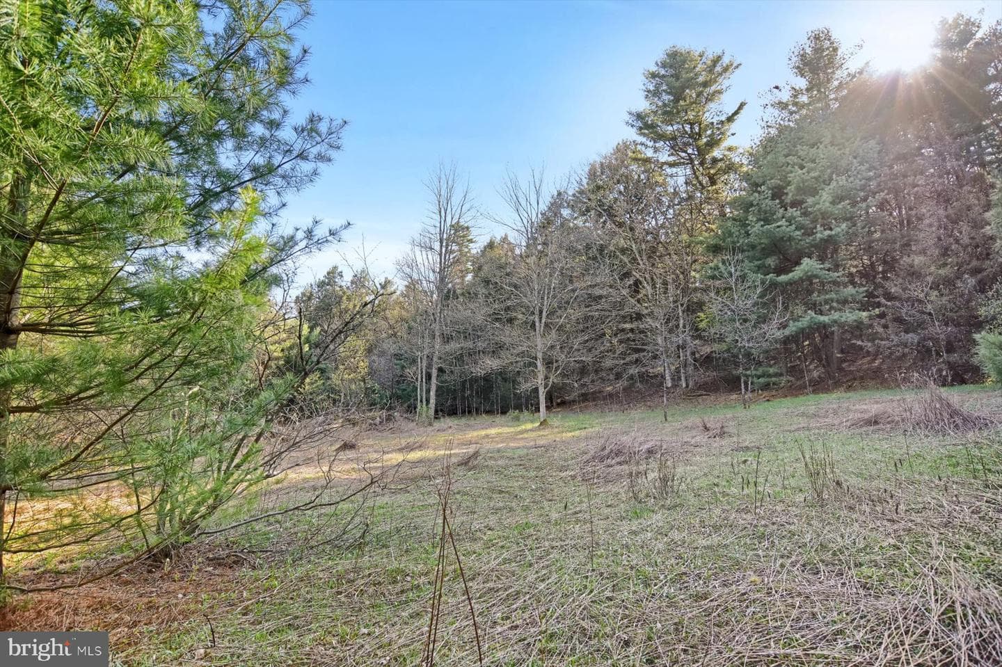 45 Laurel Lane photo 35