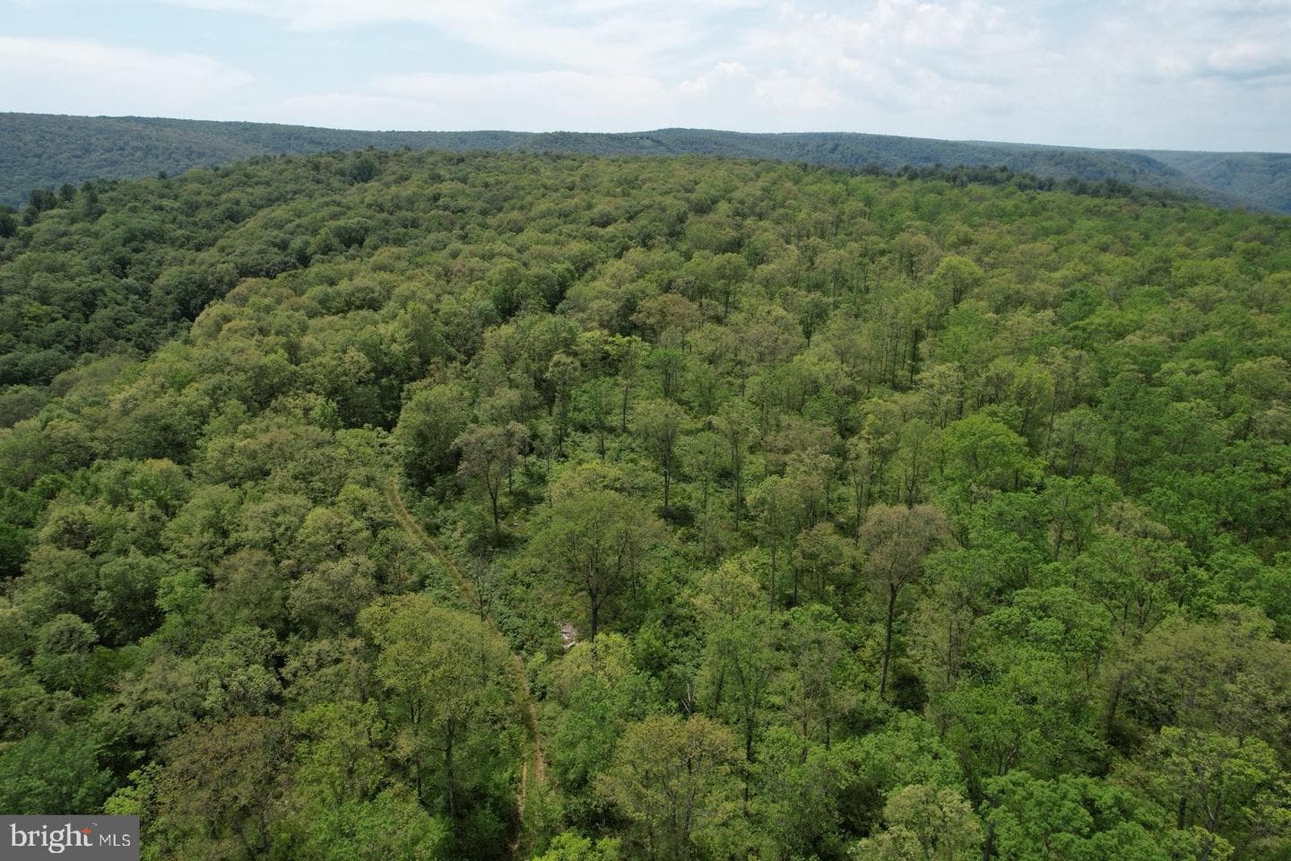 29 Beech Creek Mountain Road photo 11