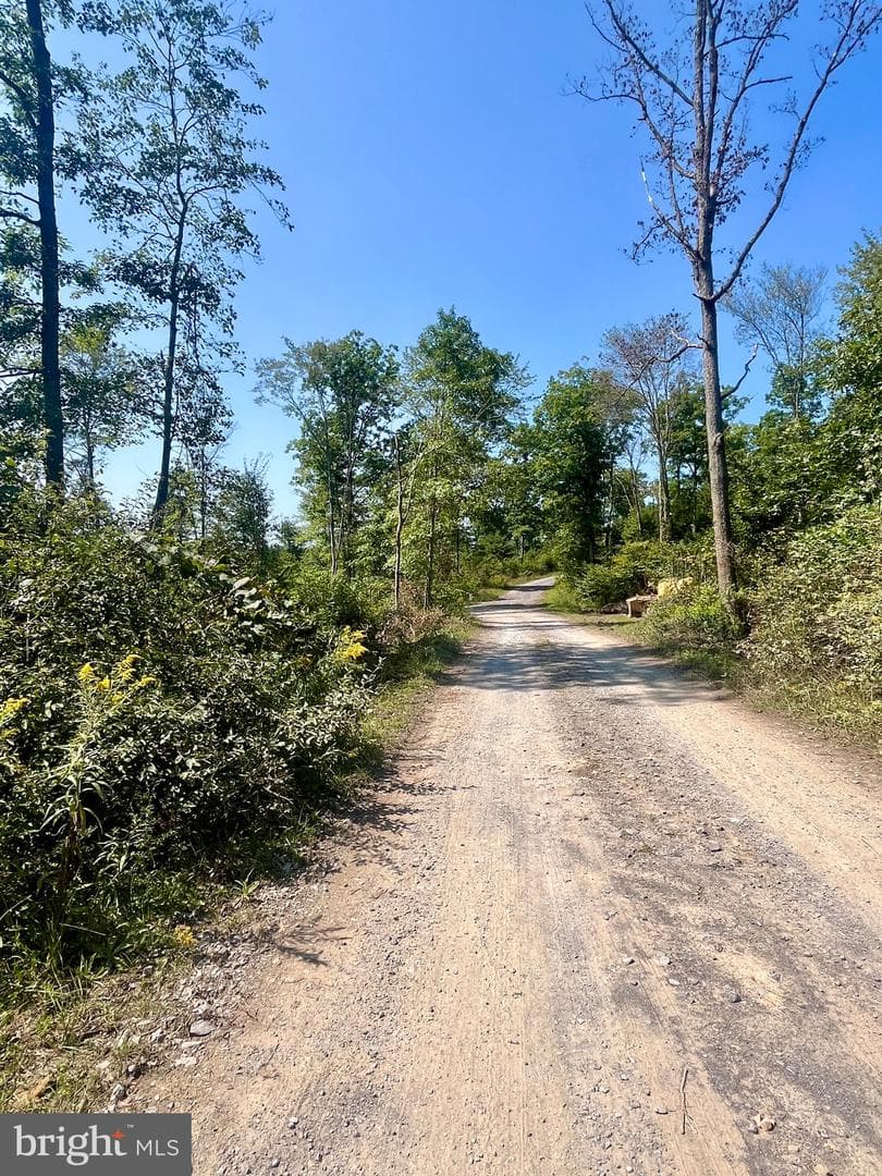 29 Beech Creek Mountain Road photo 15
