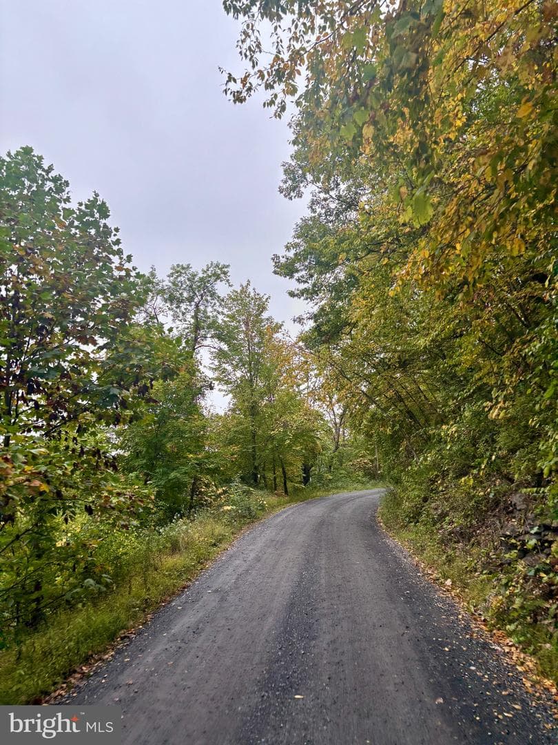 29 Beech Creek Mountain Road photo 16