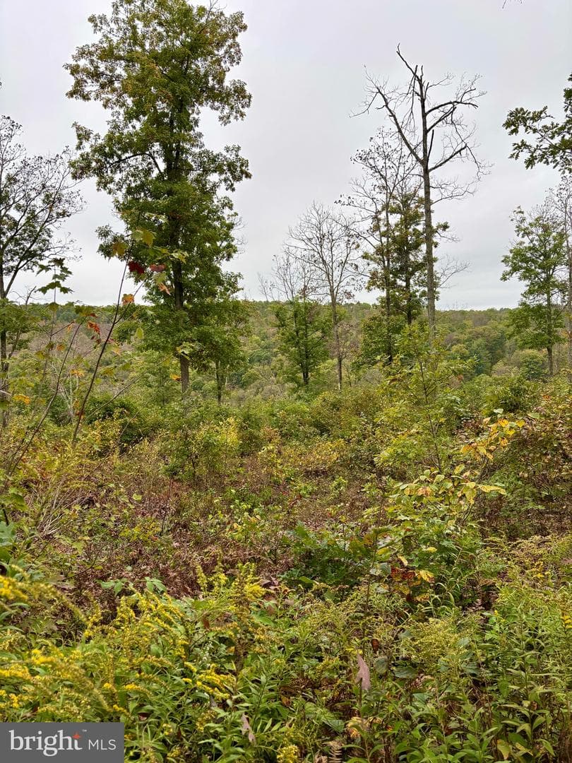 29 Beech Creek Mountain Road photo 18