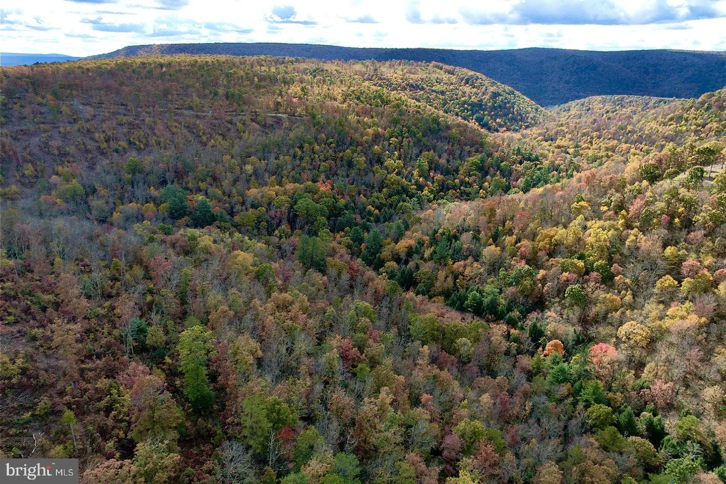 29 Beech Creek Mountain Road photo 2