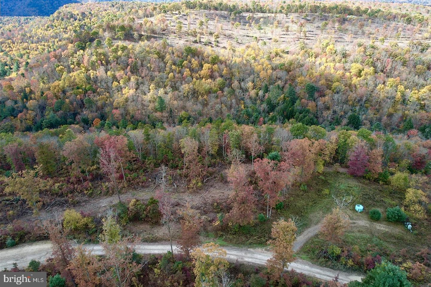 29 Beech Creek Mountain Road photo 20