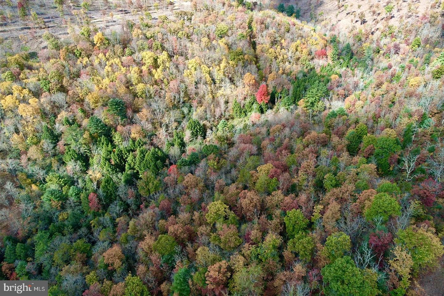 29 Beech Creek Mountain Road photo 21