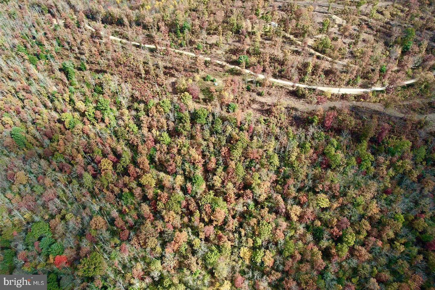 29 Beech Creek Mountain Road photo 24