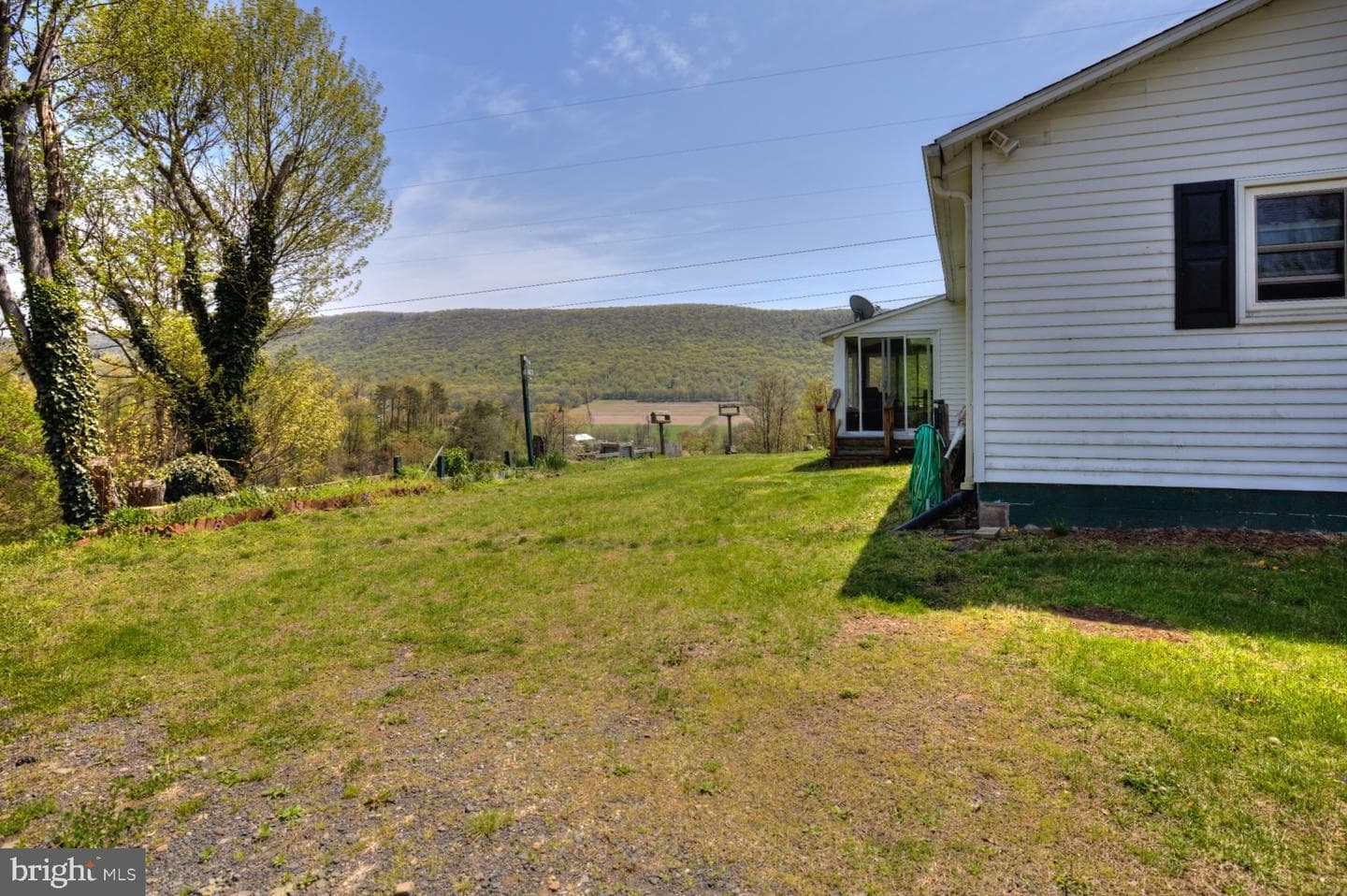 352 Mountain Pink photo 3