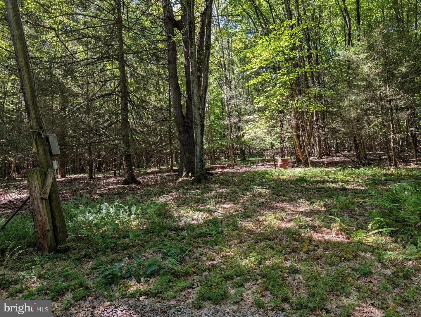 271 Kearkuff Road photo 22