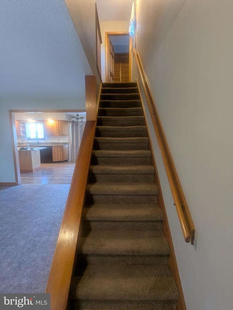 1123 4th Avenue photo 19