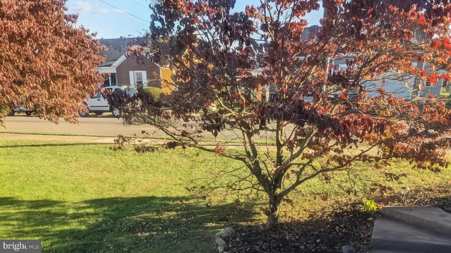 1123 4th Avenue photo 65