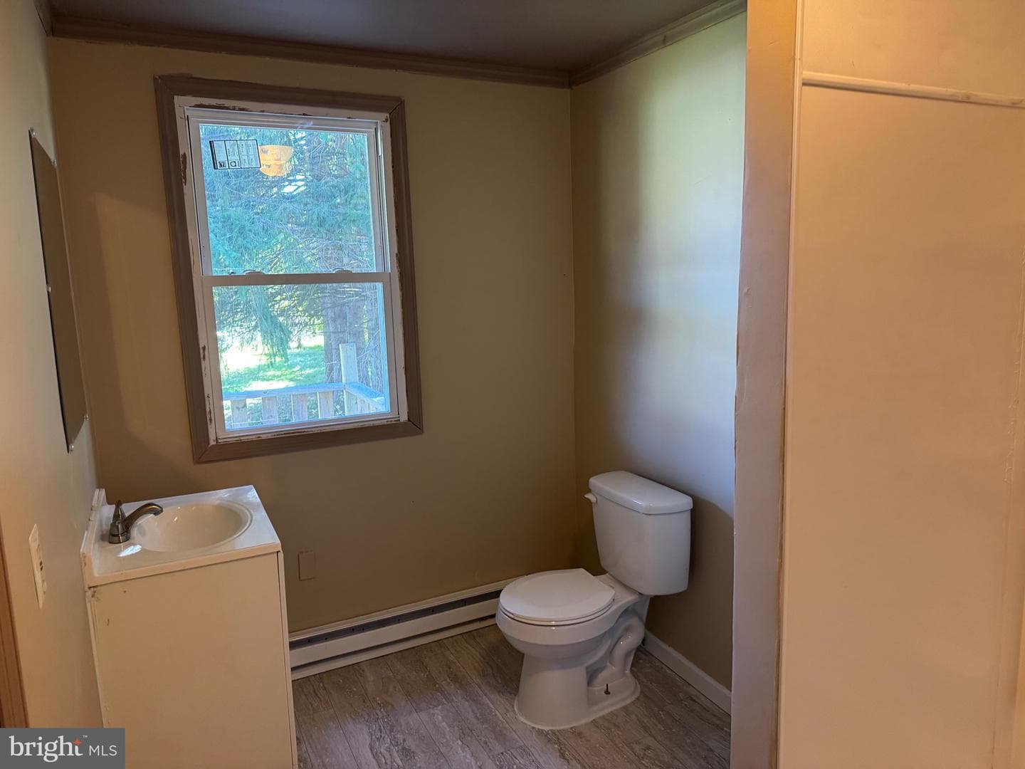 541 Summerhill Avenue photo 13