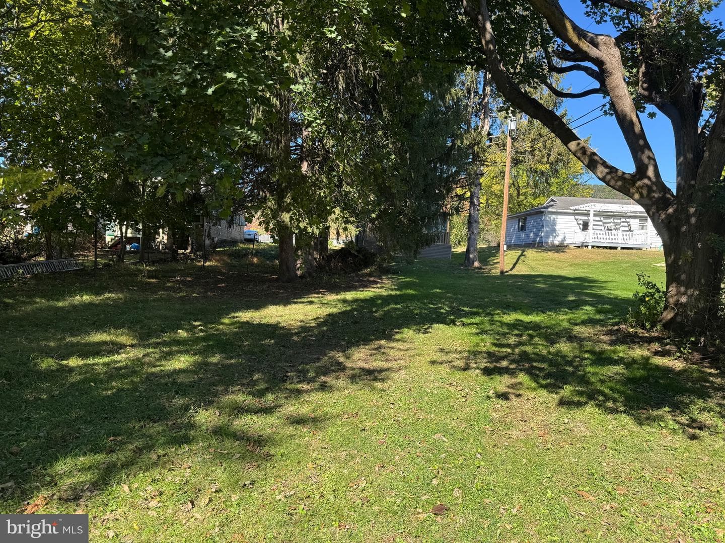 541 Summerhill Avenue photo 18