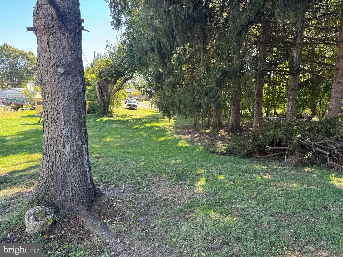541 Summerhill Avenue photo 19