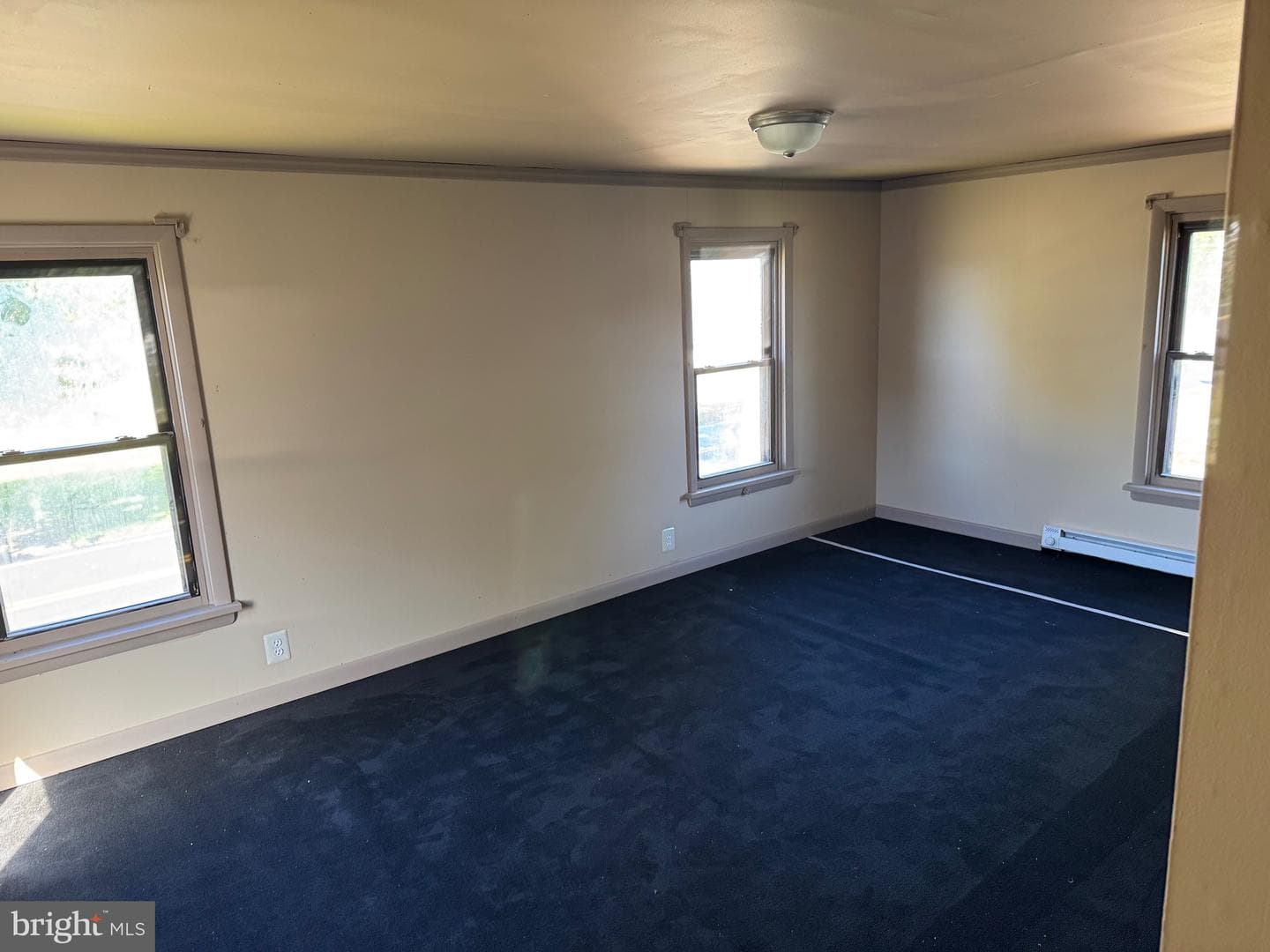 541 Summerhill Avenue photo 7