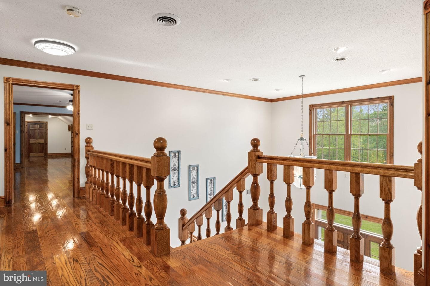 16 Kile Drive photo 59