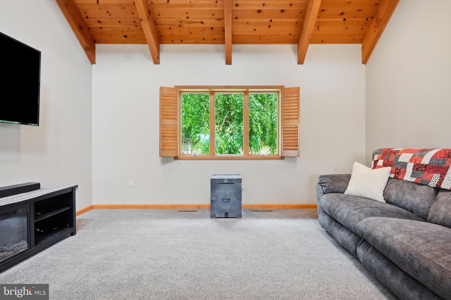 17 Maplewood Road photo 22