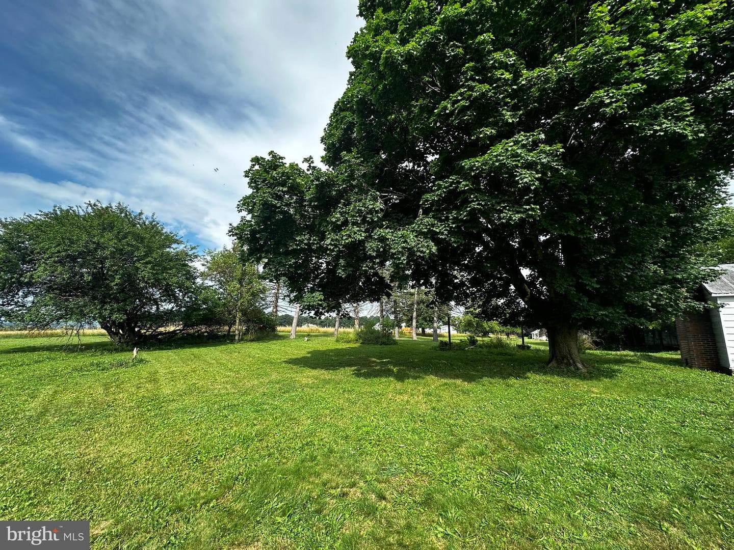 224 Middle Road photo 3