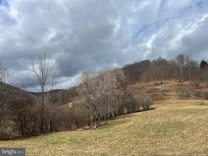 4618 Route 46 photo 8